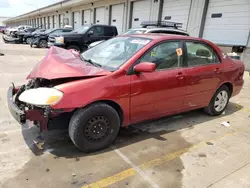 Salvage cars for sale at Louisville, KY auction: 2007 Toyota Corolla CE