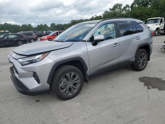 2023 Toyota Rav4 XLE Premium