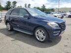 2014 Mercedes-Benz ML 350 Bluetec