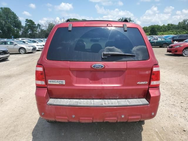 2008 Ford Escape Limited