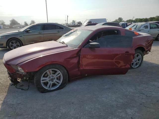 2014 Ford Mustang