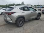 2024 Lexus NX 250 Base