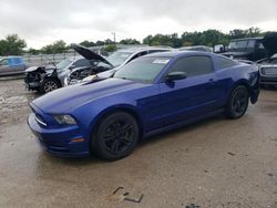 Salvage cars for sale at Louisville, KY auction: 2013 Ford Mustang