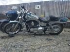 2004 Harley-Davidson Fxdwgi