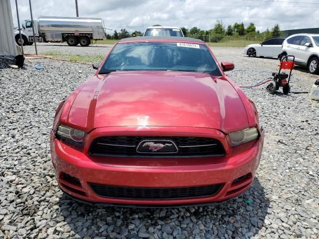 2013 Ford Mustang