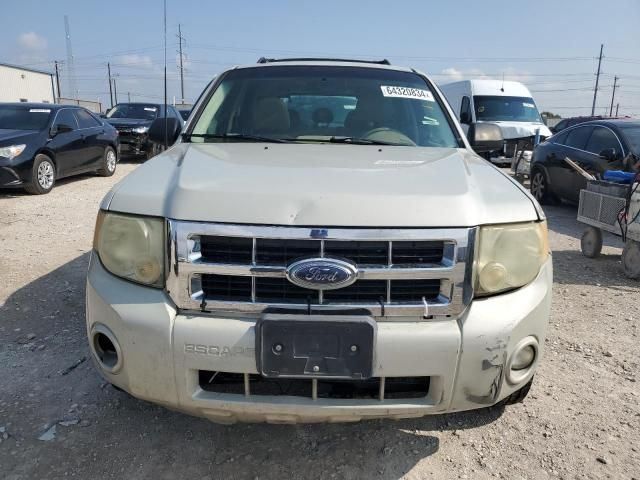 2008 Ford Escape XLT