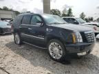 2008 Cadillac Escalade Luxury