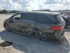 2020 Honda Odyssey Elite