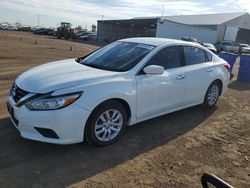 Salvage cars for sale from Copart Brighton, CO: 2016 Nissan Altima 2.5