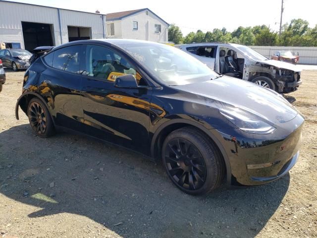 2024 Tesla Model Y