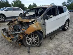 Salvage cars for sale at Madisonville, TN auction: 2019 Ford Escape SE