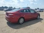 2016 Ford Fusion SE Phev