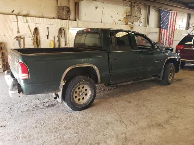 2001 Dodge Dakota Quattro