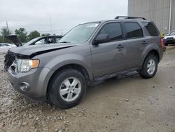 Salvage cars for sale at Lawrenceburg, KY auction: 2009 Ford Escape XLT