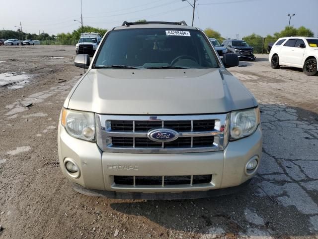 2010 Ford Escape XLT