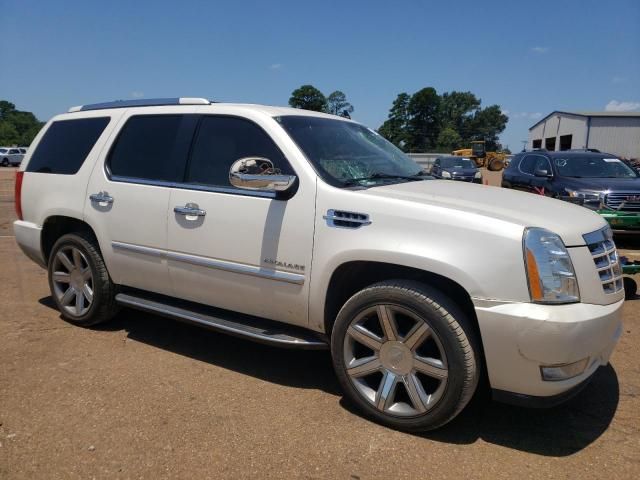 2013 Cadillac Escalade Luxury