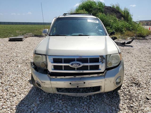 2011 Ford Escape Limited