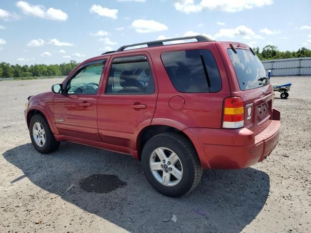 2007 Ford Escape HEV