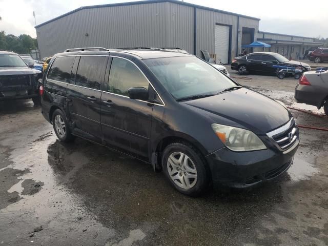 2005 Honda Odyssey EXL