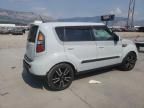 2010 KIA Soul +