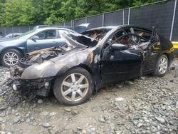 Salvage cars for sale at Waldorf, MD auction: 2004 Nissan Maxima SE