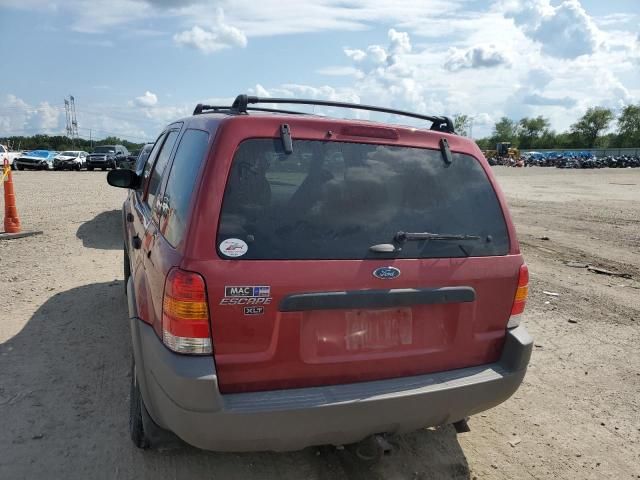 2001 Ford Escape XLT