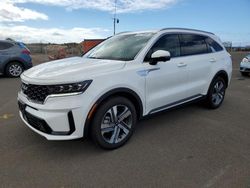 Carros con título limpio a la venta en subasta: 2024 KIA Sorento SXP