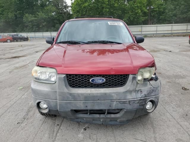 2007 Ford Escape XLT