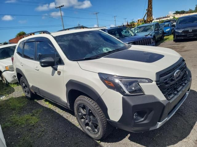 2023 Subaru Forester Wilderness