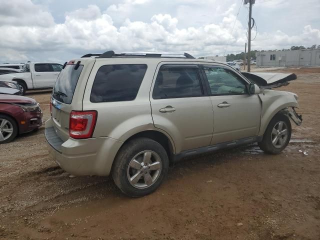 2011 Ford Escape Limited