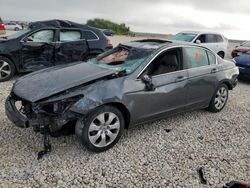 Salvage cars for sale at Taylor, TX auction: 2009 Honda Accord EXL