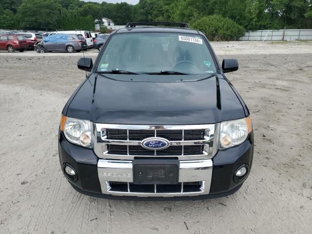 2010 Ford Escape Limited