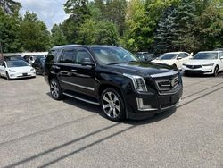 Cadillac salvage cars for sale: 2016 Cadillac Escalade Luxury