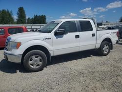 Salvage trucks for sale at Arlington, WA auction: 2010 Ford F150 Supercrew