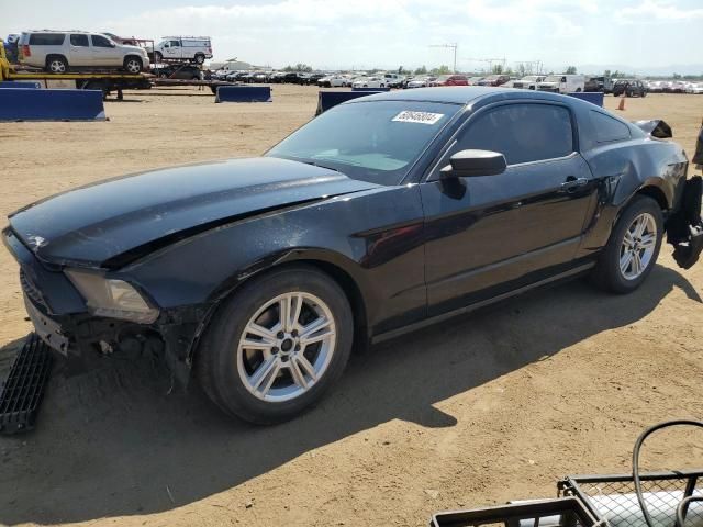 2013 Ford Mustang