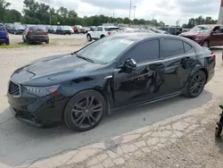 Salvage cars for sale at Fort Wayne, IN auction: 2019 Acura TLX Technology