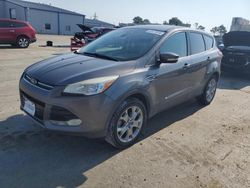 Ford salvage cars for sale: 2013 Ford Escape SEL