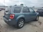 2010 Ford Escape Limited