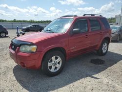 Carros híbridos a la venta en subasta: 2007 Ford Escape HEV