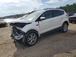 Ford Escape Vehiculos salvage en venta: 2015 Ford Escape Titanium