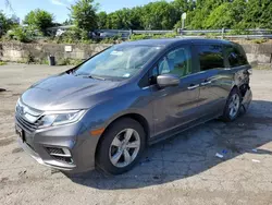 2019 Honda Odyssey EXL en venta en Marlboro, NY