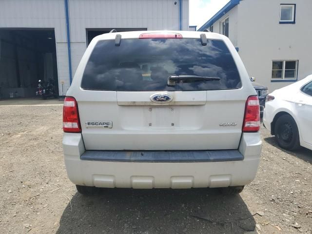 2009 Ford Escape XLT