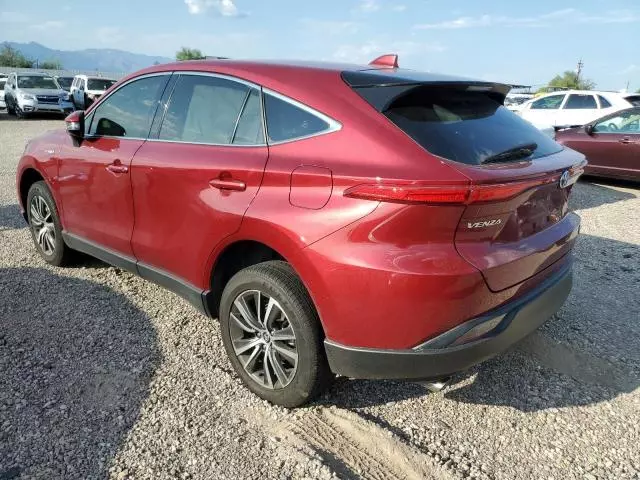 2021 Toyota Venza LE