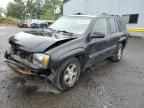 2004 Chevrolet Trailblazer LS