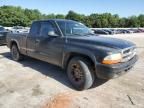 2004 Dodge Dakota Sport