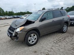 Salvage cars for sale at Bridgeton, MO auction: 2010 Toyota Rav4