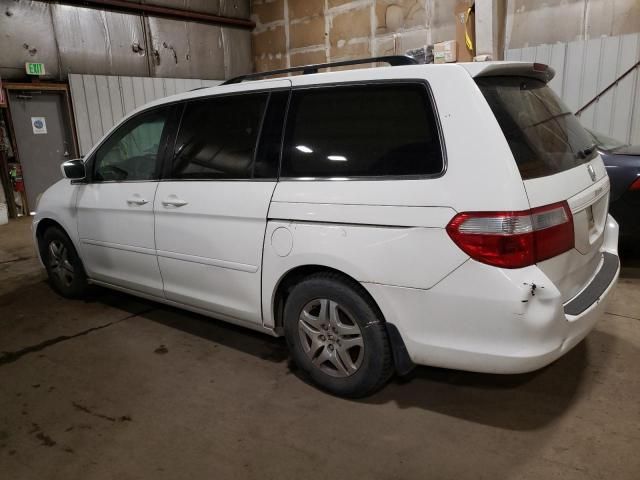 2005 Honda Odyssey EXL