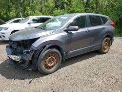 Salvage cars for sale at Cookstown, ON auction: 2018 Honda CR-V EXL