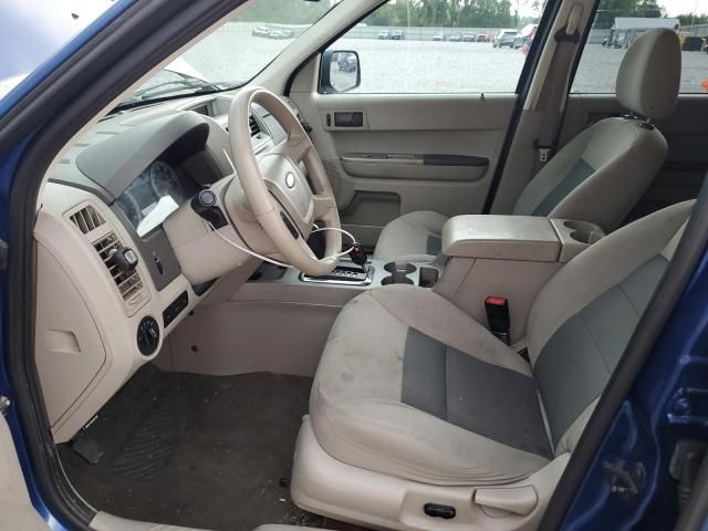 2008 Ford Escape XLT