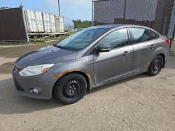 Ford salvage cars for sale: 2014 Ford Focus SE